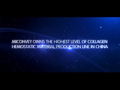 MICONVEY Companyの紹介